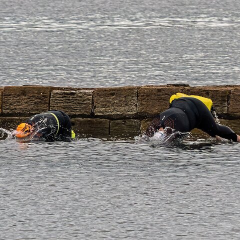 River-Forth-Wild-Swimming-15