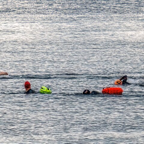 River-Forth-Wild-Swimming-18